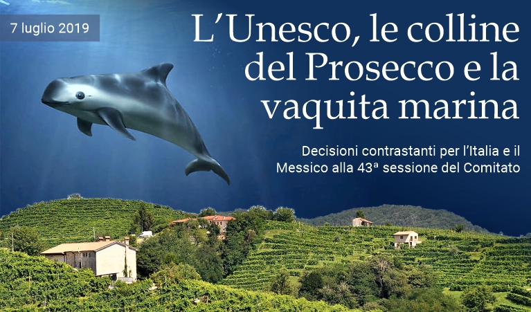L'Unesco, le colline del Prosecco e la vaquita marina.