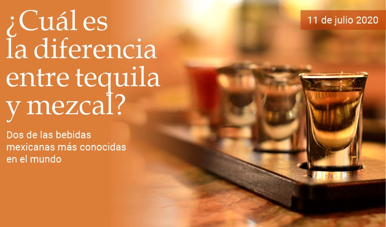 Cul es la diferencia entre tequila y mezcal?