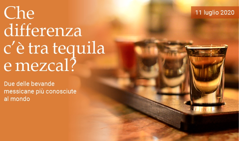 Che differenza c' tra tequila e mezcal?