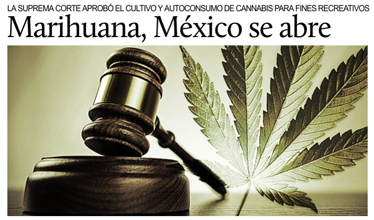Marihuana, Mxico hacia la legalizacin del autoconsumo.