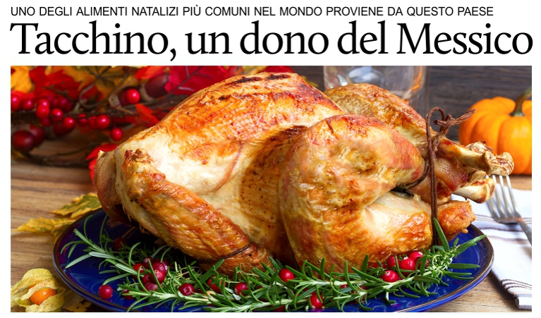 Il tacchino, uno dei tanti doni del Messico al mondo.
