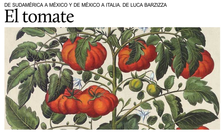 El tomate, de Sudamrica a Mxico y de Mxico a Italia.
