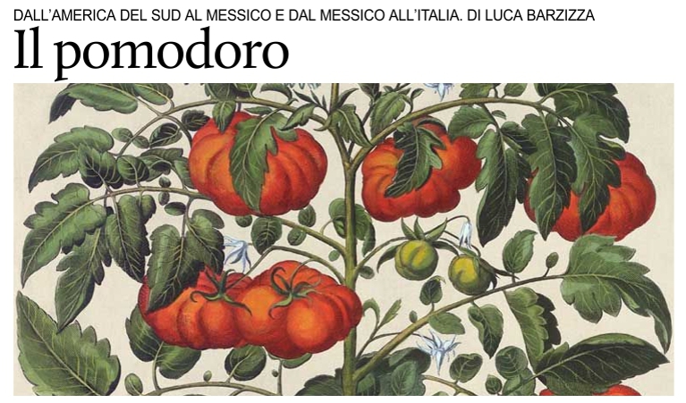 Il pomodoro, dall'America del Sud al Messico e dal Messico all'Italia.