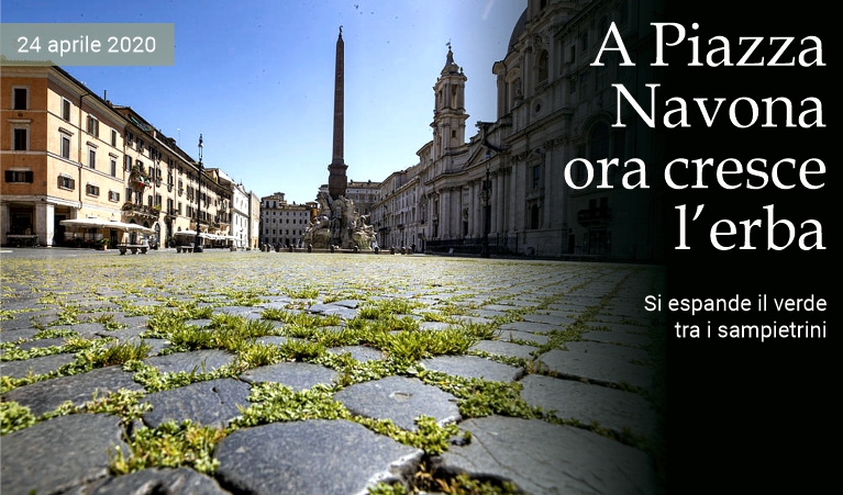 A Piazza Navona ora cresce l'erba