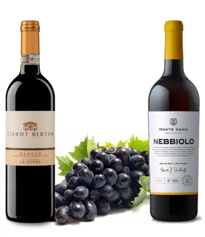 Il Barolo italiano e l'uva Nebbiolo in Piemonte e in Messico