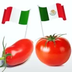 Il pomodoro in Messico e in Italia: superficie, rendimento e varietà
