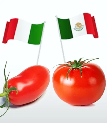 Il pomodoro in Messico e in Italia: superficie, rendimento e varietà