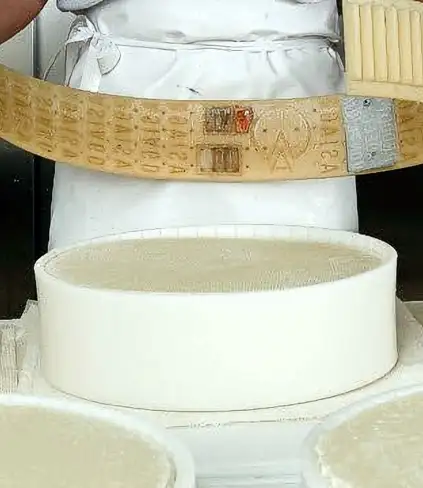 Breve storia di un formaggio italiano presente in Messico: l'Asiago