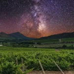 “Calici di Stelle”, el evento astronómico italiano dedicado a los enoturistas
