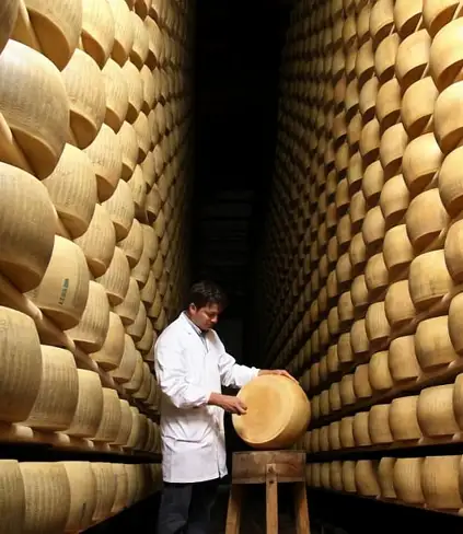 El Parmigiano Reggiano, las características de un queso digno de un museo