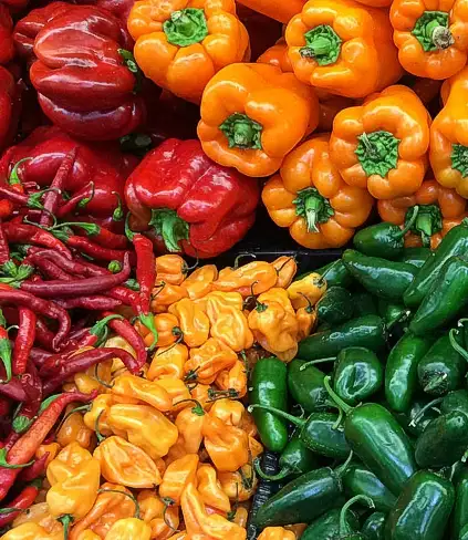 Il mercato dei peperoni in Messico e in Italia