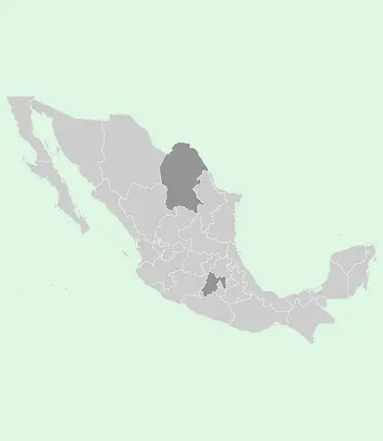 México, finalizó la jornada electoral en dos Estados del país