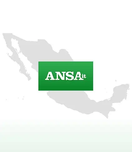 Barzizza (Puntodincontro) dal 1º maggio collaboratore dell'ANSA in Messico / Immagine: Puntodincontro