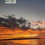 Nat5 Live in Messico: l'Italia sostiene la tutela della biodiversità / Immagini: ases.eco-nat5.live