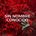 Città del Messico, mostra di Lucia Veronesi sul rapporto tra lingua e botanica / Immagine: Istituto italiano di cultura di Città del Messico