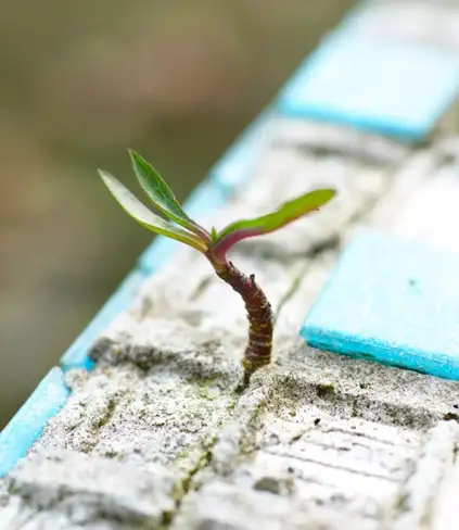 MIT: in Messico il cemento riassorbe il 25% della sua impronta carbonica / Immagine: mezzopieno.org