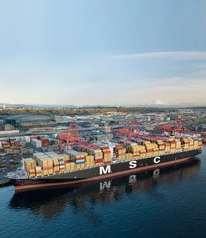 Export italiano verso il Messico in calo del 15,6% a novembre 2025 / Foto: msc.com