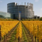 Accordo Ue-Messico: voto consultivo in Commissione Agricoltura / Immagine: winenews.it