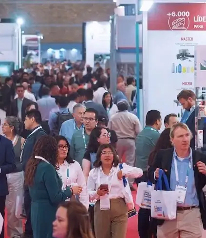 Expo Pack Messico 2026: cresce la presenza italiana nel settore / Immagine: X @ExpoPack