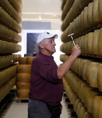 Il caldo in Italia mette sotto pressione le 'banche del Parmigiano' / Foto: AP Photo - Antonio Calanni - Euronews
